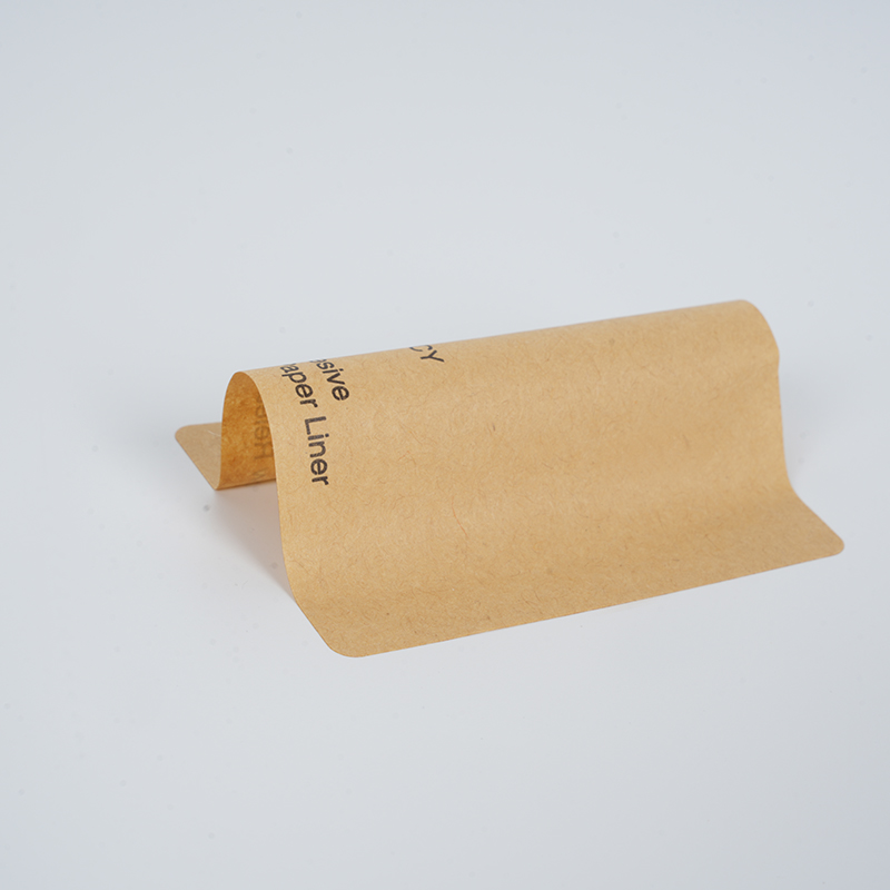 Hartie Kraft